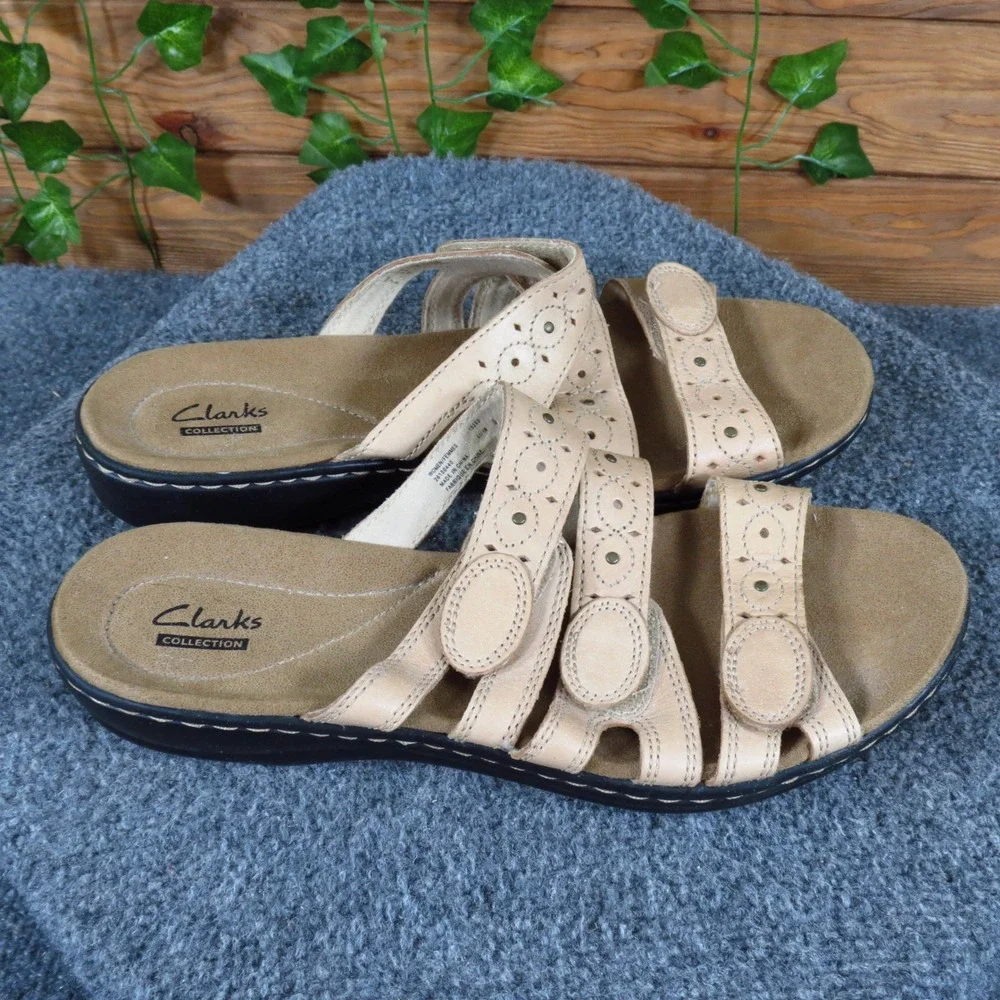 Clarks leisa cacti